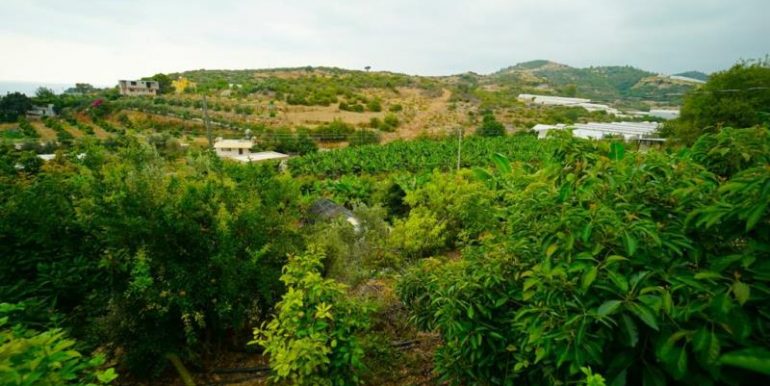 alanya yesilöz strandnahe villa mit 6000m2 grundstück-garten 18