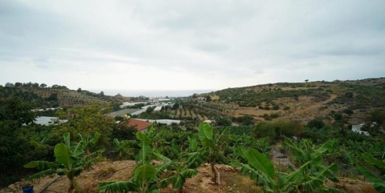 alanya yesilöz strandnahe villa mit 6000m2 grundstück-garten 27