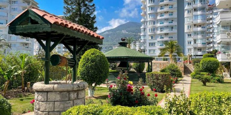 ORANGE BANANA GARDEN - CIKCILLI ALANYA 5