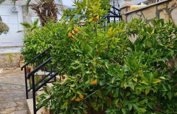 Alanya Private Villa für 335.000 Euro zu Verkaufen 3