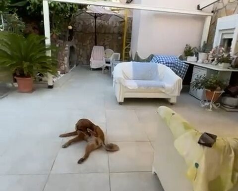 Meerblick Haus Alanya für 235.000 Euro 19
