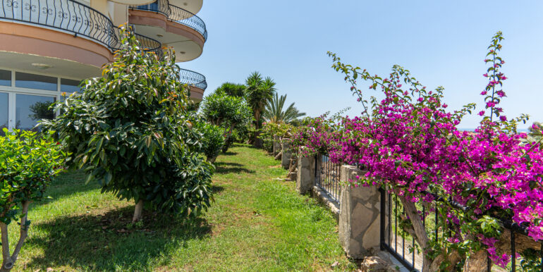 Meerblick Wohnung in ruhige Lage 3