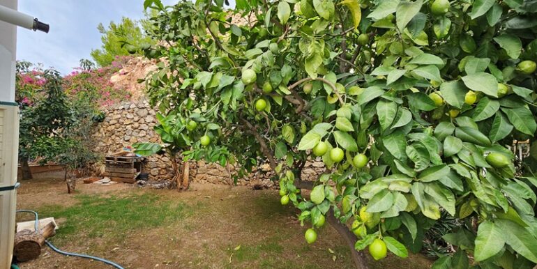 Alanya Meerblick Villa Auf Langzeit zu Vermieten 37